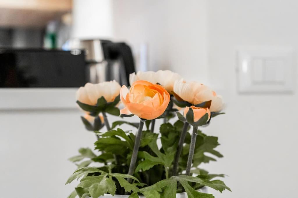 Suite32 Bergamo Zewnętrze zdjęcie